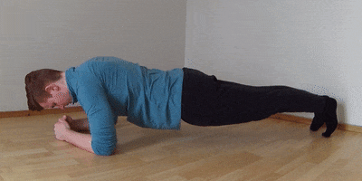 Plank Exercise Demonstration
