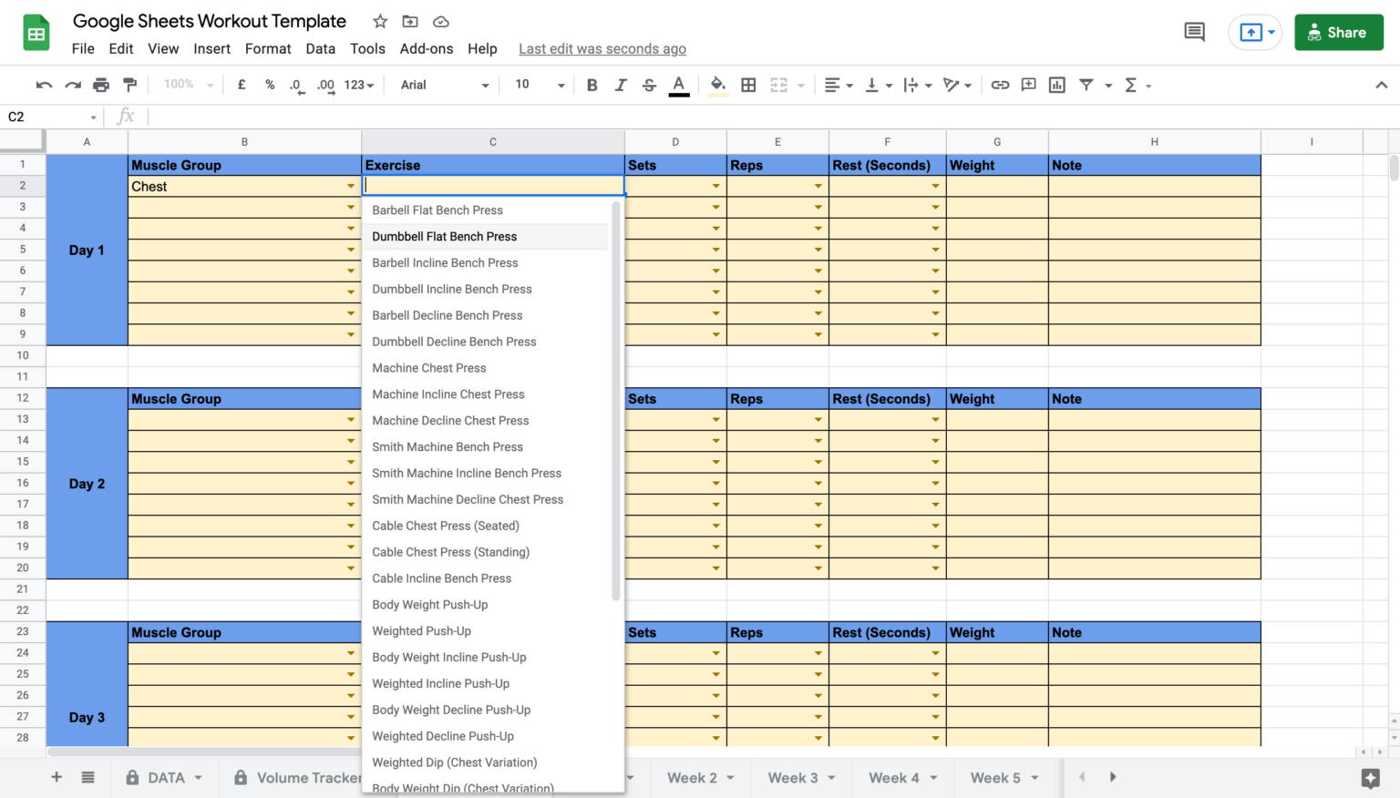 5 Day Training Plan Template Google Sheets for Gym