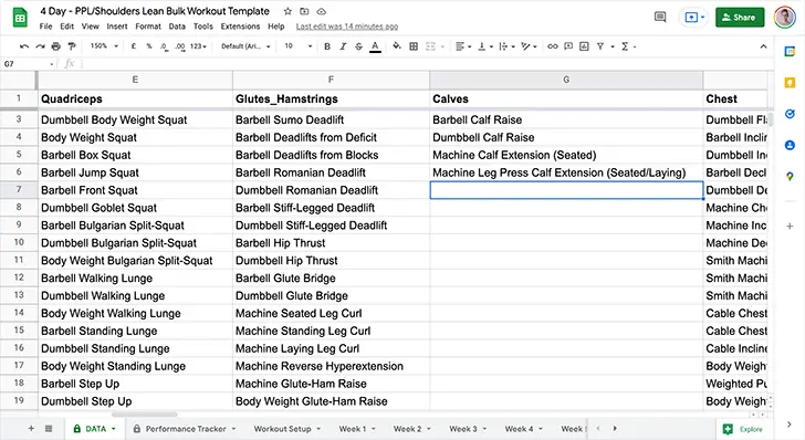 Editing lean bulk workout plan - raw data