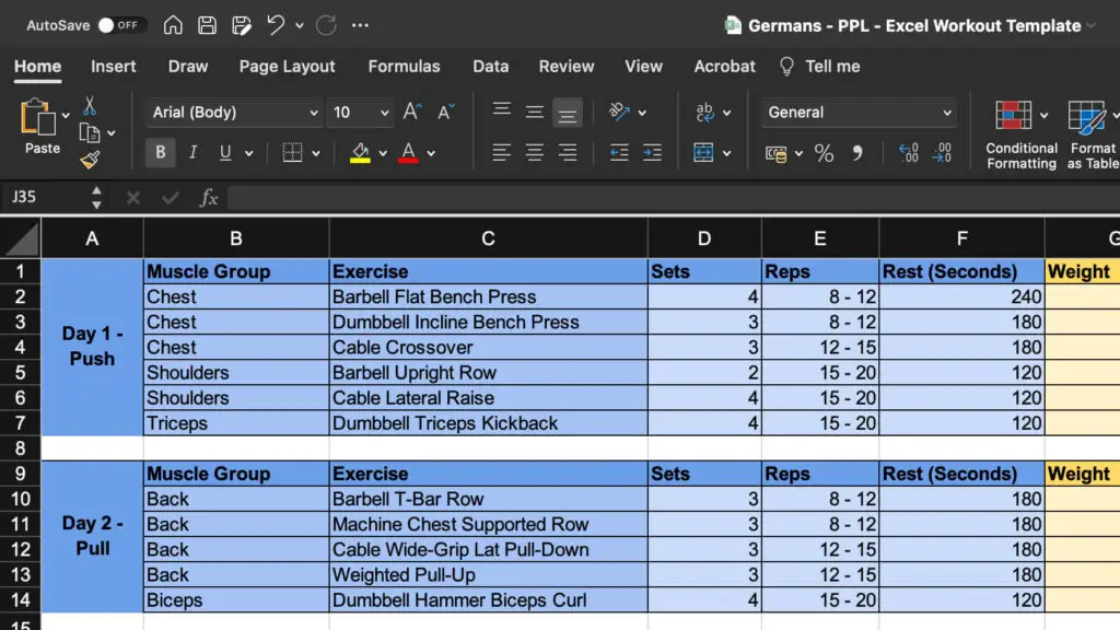 Example of Excel Workout Template