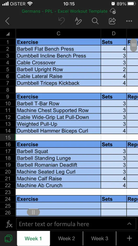 Excel Workout Plan Opened on Mobile